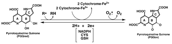 包含圖片、插圖等的外部文件。
對象名稱為 biomolecules-11-01441-g001.jpg