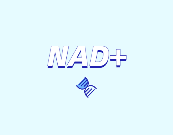 NAD與NMN的全新概念？