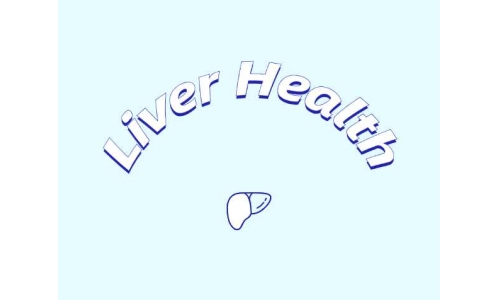 哪些原料可助力肝臟健康？