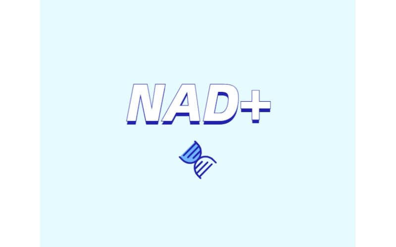 NAD與NMN的全新概念？